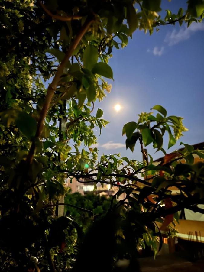 Apartmani Goran I Jelena Zec บุดวา ภายนอก รูปภาพ